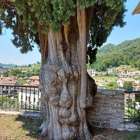 Ristorante Ai Pini 2* Tarzo