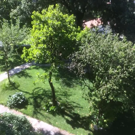 Ristorante Ai Pini Tarzo