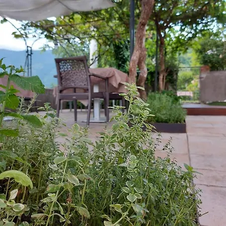 Hotel Ristorante Ai Pini 2*