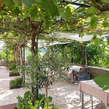 Hotel Ristorante Ai Pini Tarzo