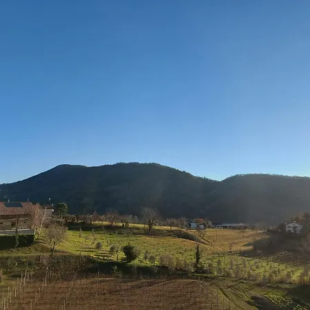 Ristorante Ai Pini Tarzo